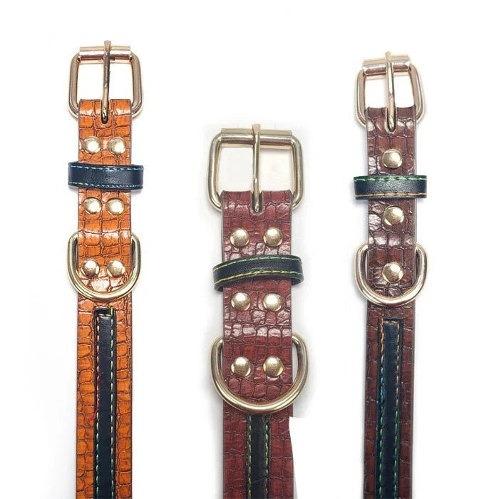 Collar Eco Cuero para Perros