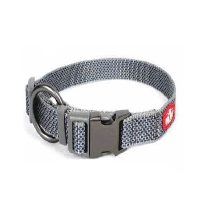COLLAR IRON S - Pethome