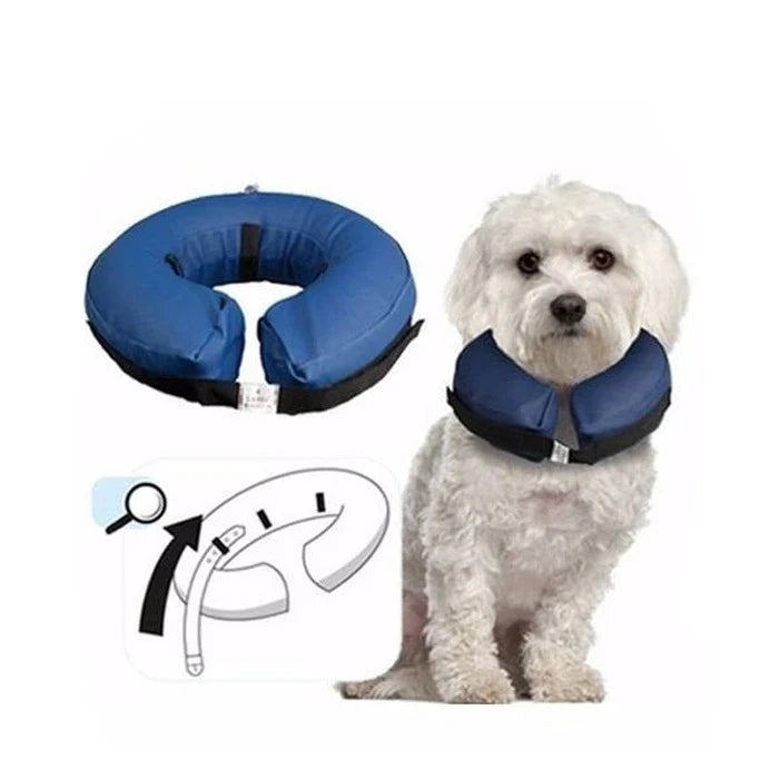 Collar Isabelino Inflable