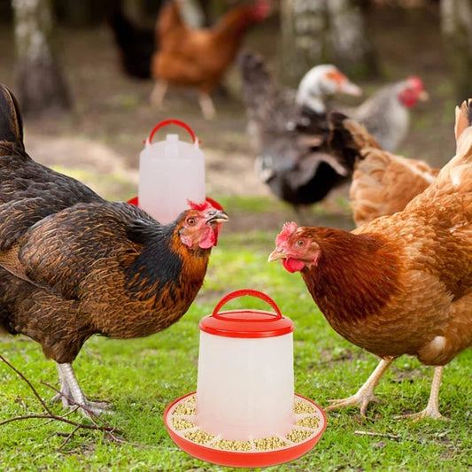 Comedero para aves Granja o pajareras