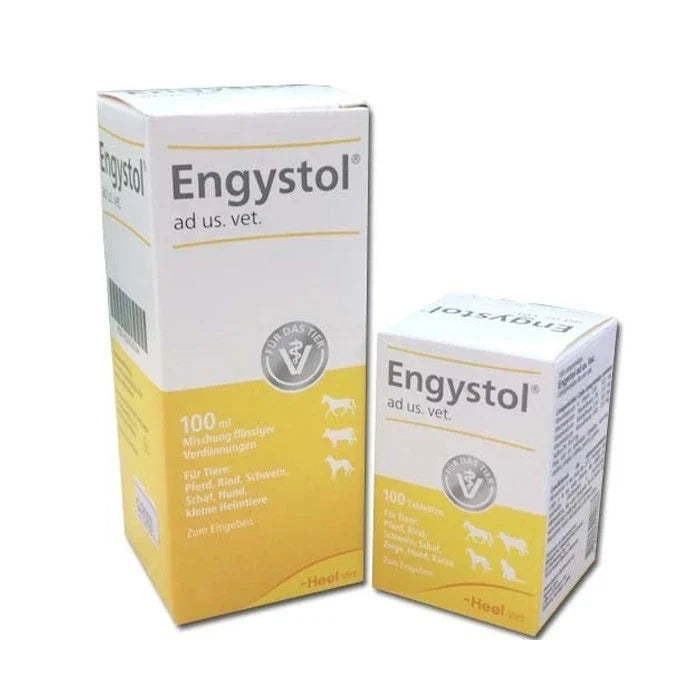 Engystol Jarabe 100 mL - imagen 1