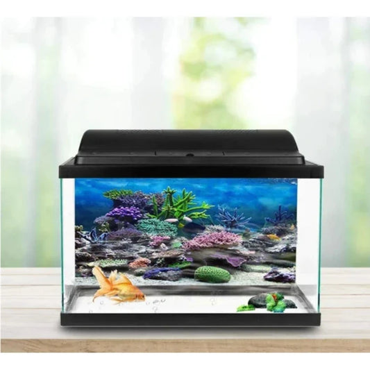 Fondo de Acuario