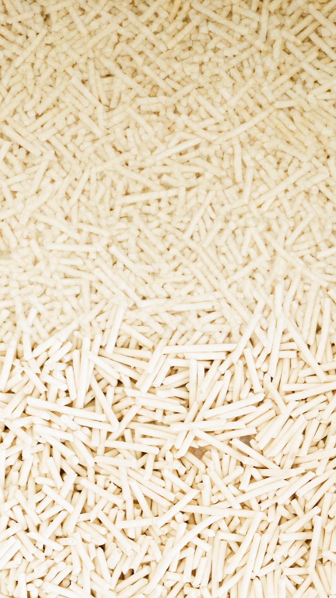 Easy Clean Tofu Coffee 2KG