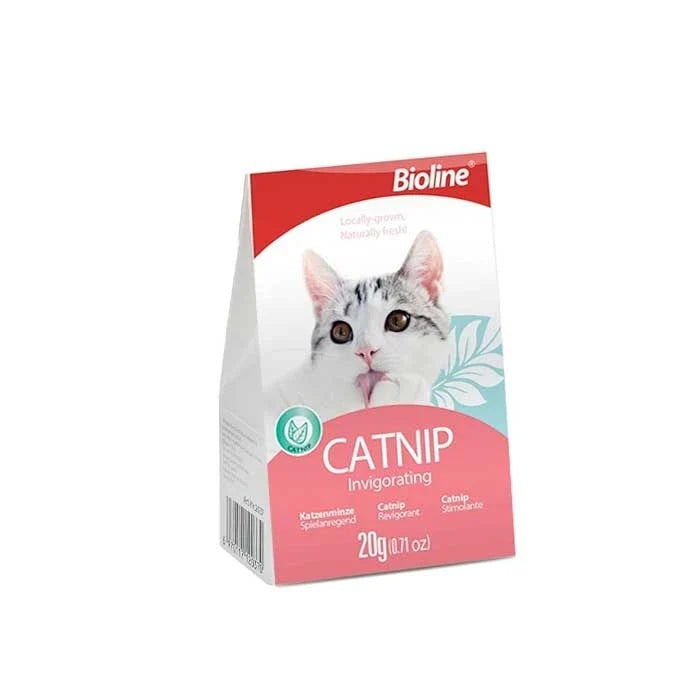 Hojas de Catnip - imagen 1