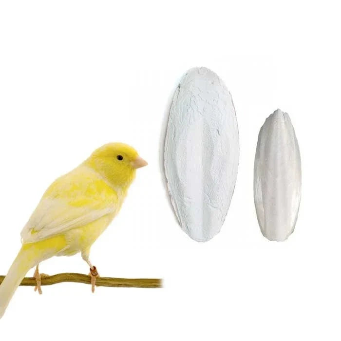 Hueso de Jibia Para Aves
