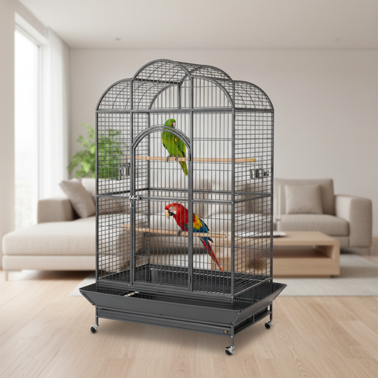 Jaula para Loros XL en uso