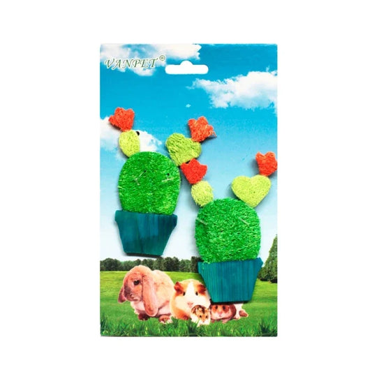 Juguete Loofah Cactus - imagen 1
