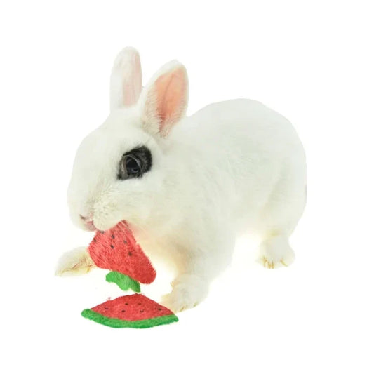 Juguete Loofah Frutilla Y Sandia - imagen 1