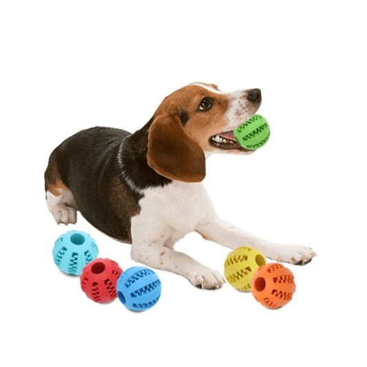Juguete Warrior Bola Con Dientes Para Perros