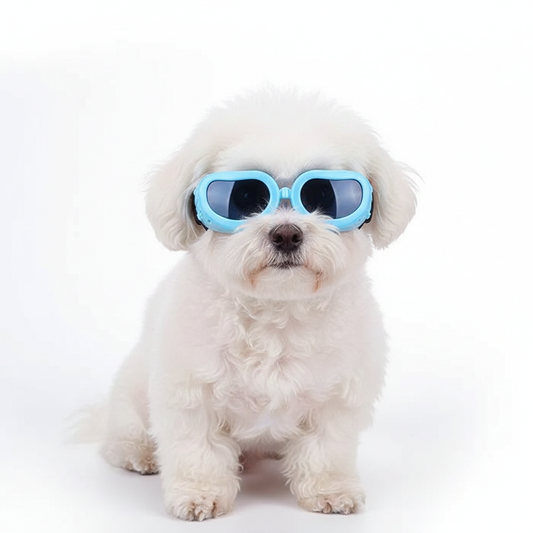 Lentes Celeste - Perro