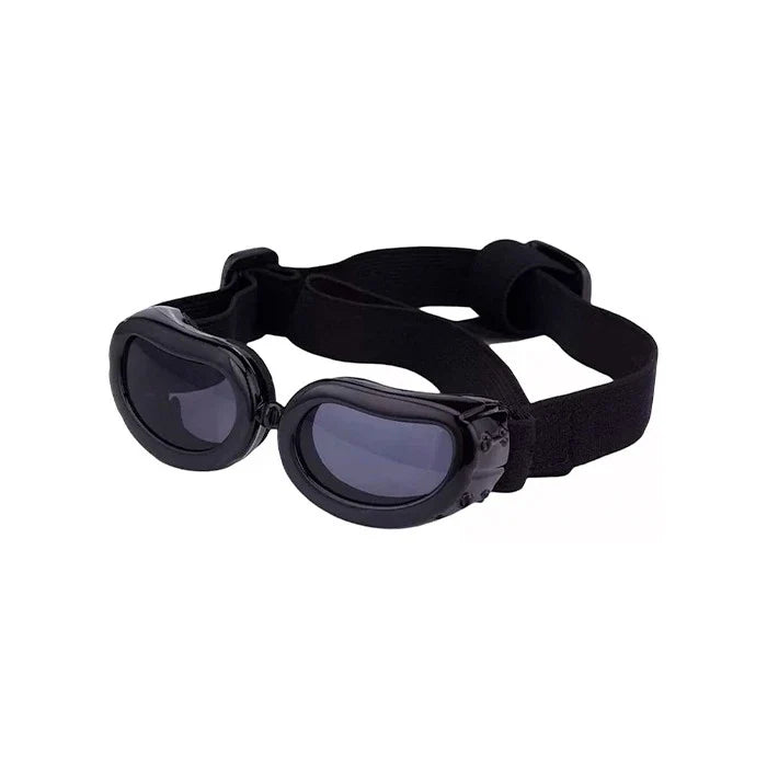 Lentes para perros