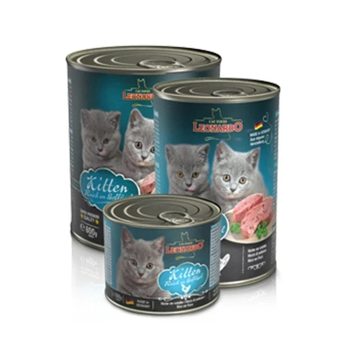 Leonardo Latas Quality Kitten