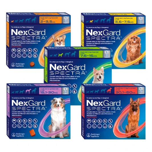Nexgard Spectra Antiparasitario 1 Comprimido