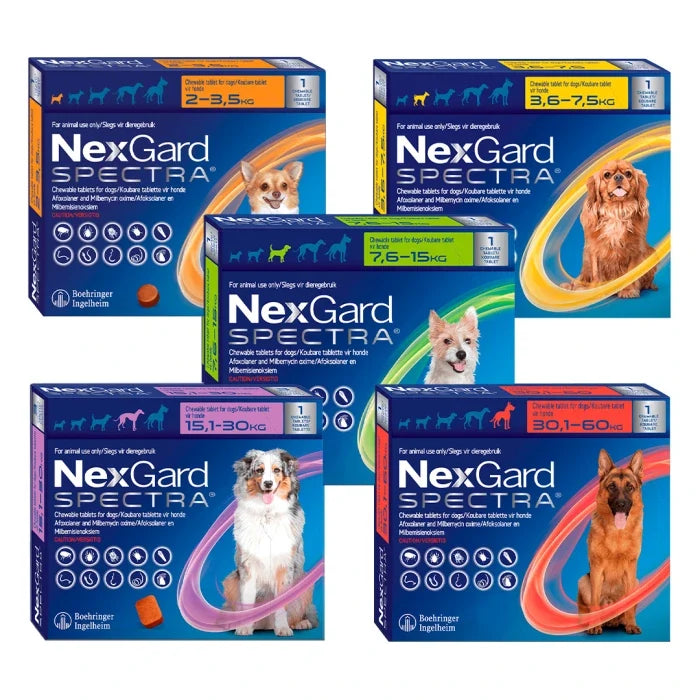 Nexgard Spectra Antiparasitario 1 Comprimido