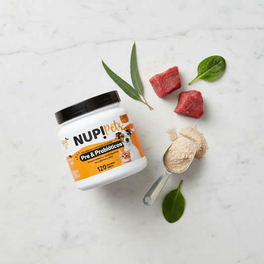 NUP! Pets Pre & Probióticos Carne - Flat Lay