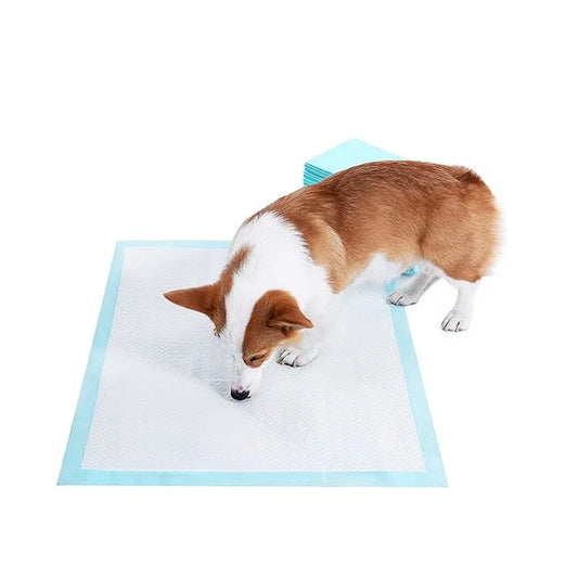 Pañal sabanillas para perros 60 x 60 50 unidades