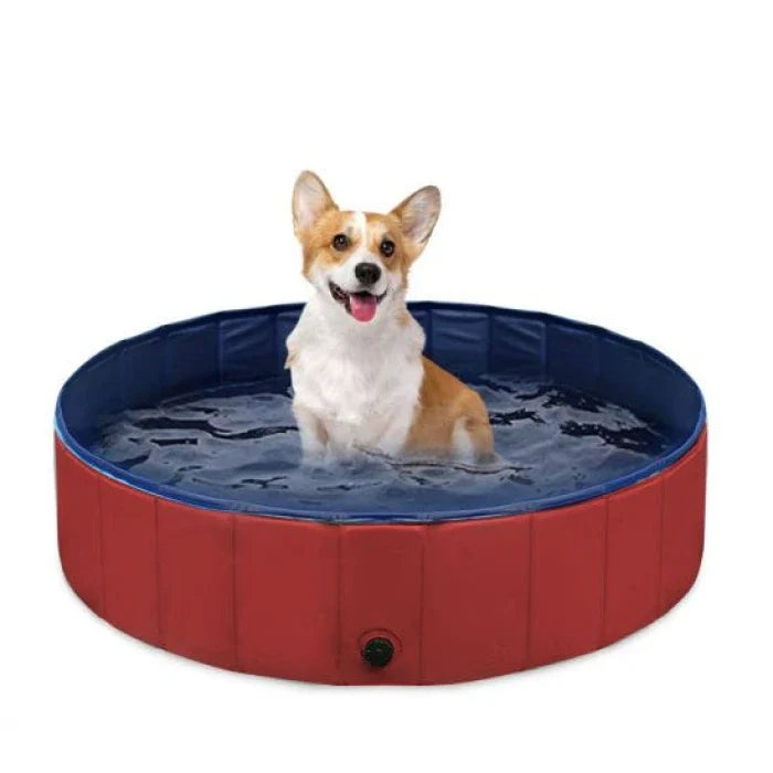 Piscina para perros Roja