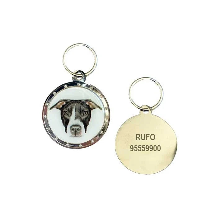 Placa personalizada con grabado para perro – Schnauzer y Staffordshire