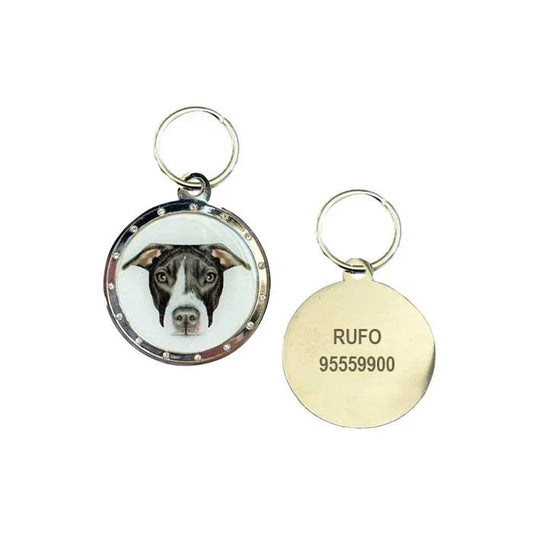 Placa personalizada con grabado para perro – Schnauzer y Staffordshire