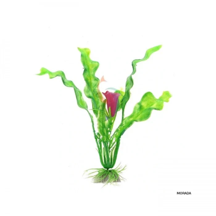 Planta Medianas de Adorno para Acuarios