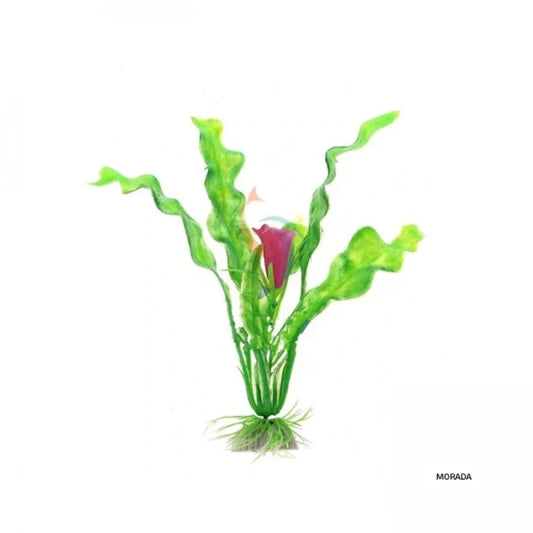 Planta Medianas de Adorno para Acuarios