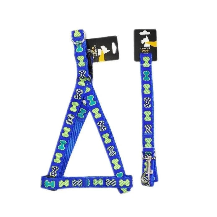 TRAILLA + ARNES DISEÑOS HUESOS 2.5 CM AZUL - Pethome
