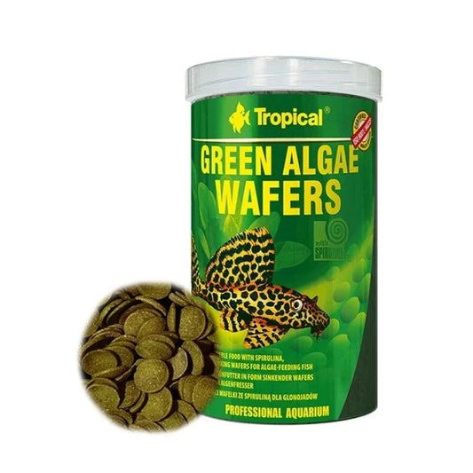 Tropical Green Algae Wafers - Pethome