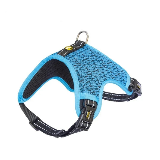 Wonder Dog Arnés The Fly Pro Methyl Blue