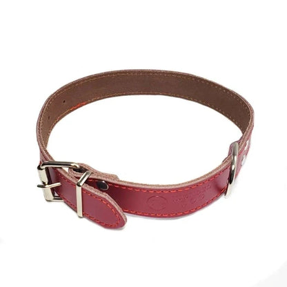 Wonder Dog Collar Eco-Cuero