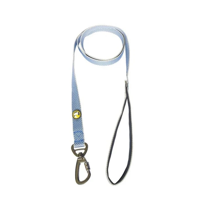Wonder Dog Correa - Iron Blue